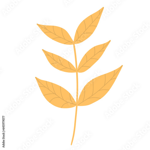 Autumn Leaves Illustration