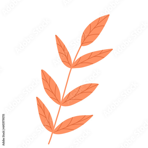 Autumn Leaves Illustration