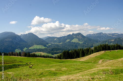 Wandern im Kleinwalsertal