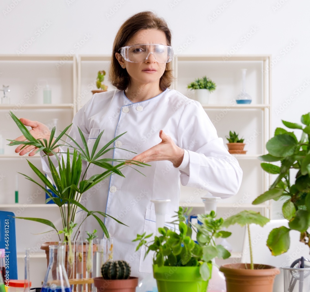 Old female biotechnology chemist working in the lab Old female biotechnology chemist working in the lab