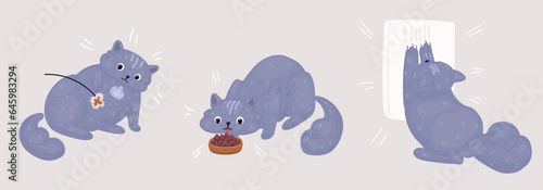 Vector illustration of cat set with different poses and emotions. Cat behavior, body language and face expressions. Cat playing with toy, cat having felines food, cat scratch post, wall