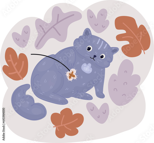 Vector illustration of pretty kitten playing with toy. British shorthair cat