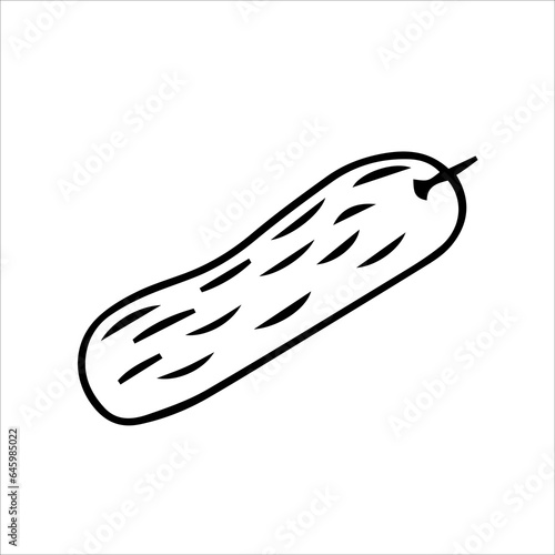 Zucchini, cucumber. Vector black and white hand-drawn illustration. Silhouette, icon, logo, sketch, template, doodles.