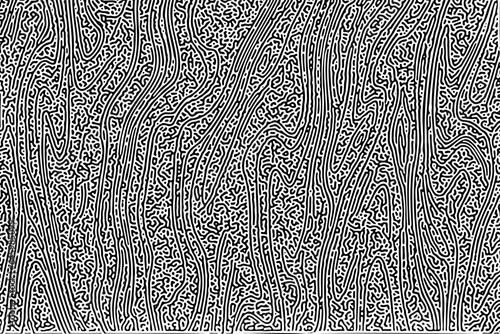 Turing ornament halftone puzzle pattern. turing pattern reaction diffusion