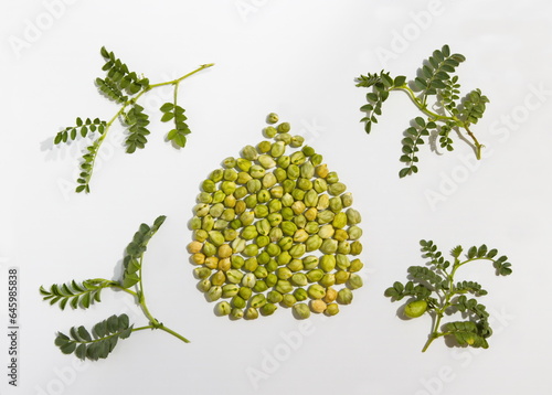 Chickpeas on a white background. Flat lay. The freshly harvested seeds are arranged in the shape of a chickpea seed. Nearby are green branches with leaves and fruits. 
