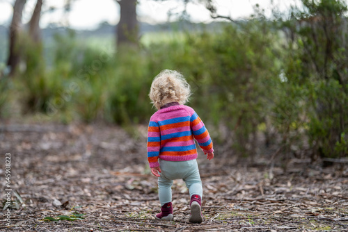 toddler hiking in the forest on a path © William