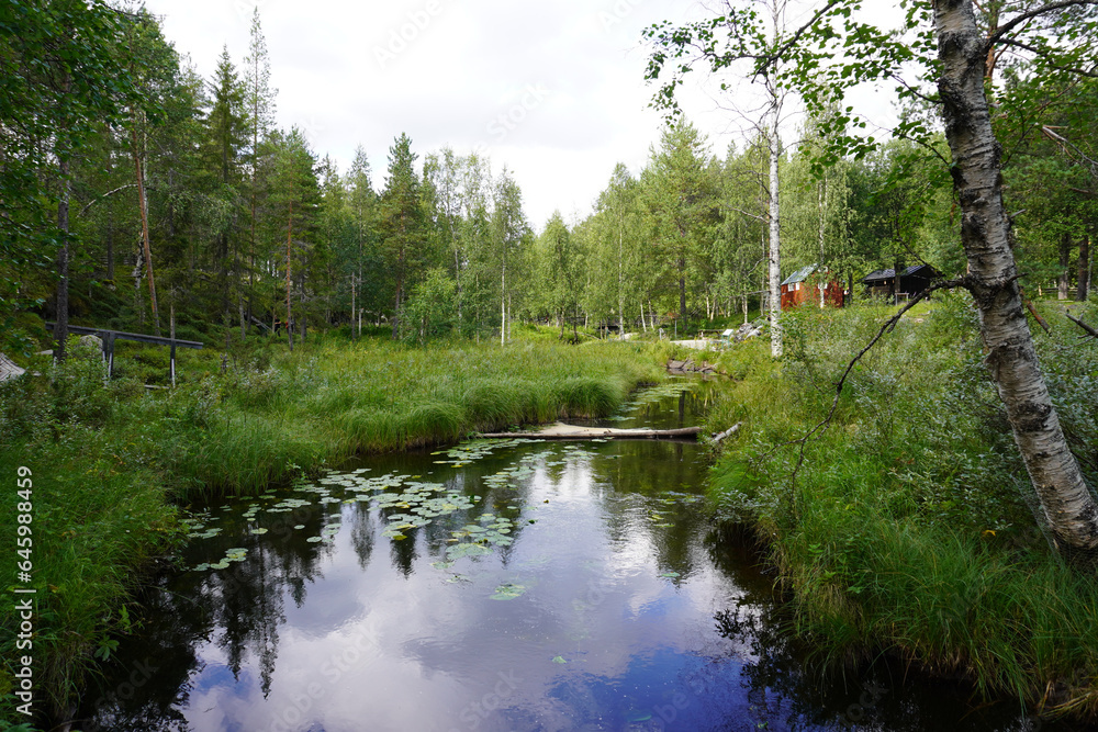 Der Botanische Garten in Jokkmokk in Schweden
