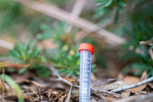 test tube in a forest field in australia