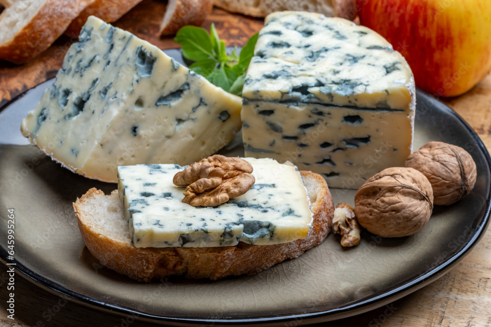 Tasting of cheese, piece of French blue cheese auvergne or fourme d'ambert with blue mold