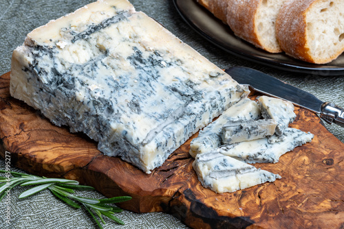 Cheese collection, piece of italian blue cheese gorgonzola picante with blue mold from north of Italy