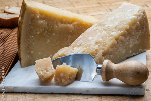 Cheese collection, hard yellow Italian cheese parmesan or parmigiano reggiano