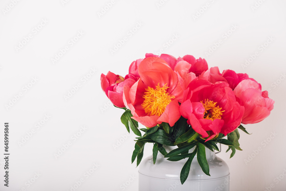 Beautiful bouquet of fresh coral red peony flowers in full bloom in vase against white background, close up. Copy space for text. Mother's day, Birthday card. Beautiful bouquet of fresh coral red peony flowers in full bloom in vase against white background, close up. Copy space for text. Mother's day, Birthday card.