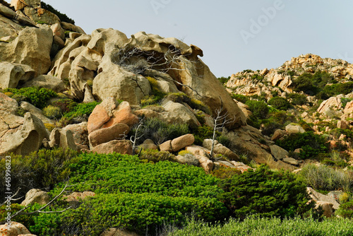 Panorama dell'Isola di Spargi. Arcipelago della Maddalena. Sardegna, Italy photo