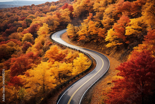 A winding road surrounded by colourful trees in autumn.