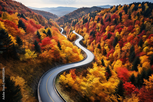 A winding road surrounded by colourful trees in autumn. © Mariia