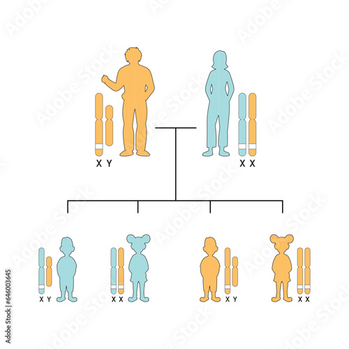 X-Linked Dominant Inheritance Concept Design. Vector illustration.
