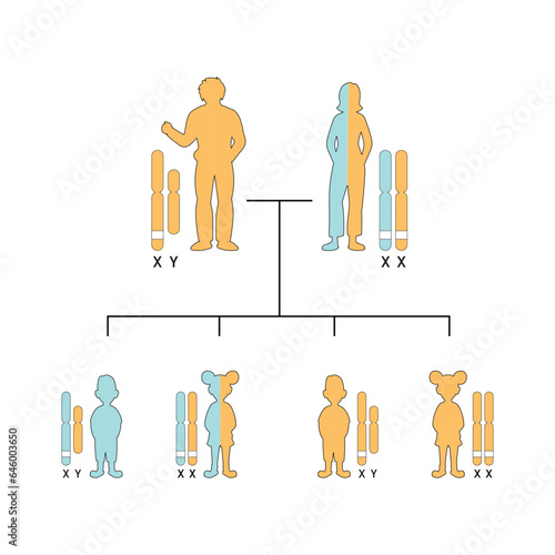 X-Linked Recessive Inheritance Concept Design. Vector illustration.