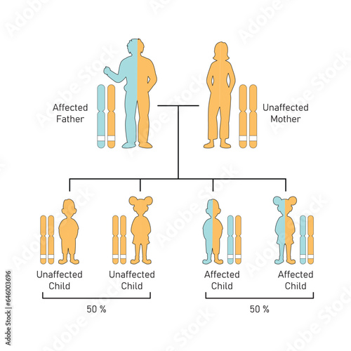 Autosomal Dominant Inheritance Concept Design. Vector illustration.