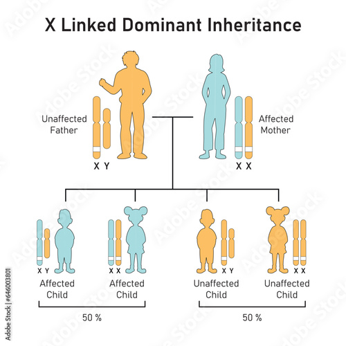 X-Linked Dominant Inheritance Concept Design. Vector illustration.