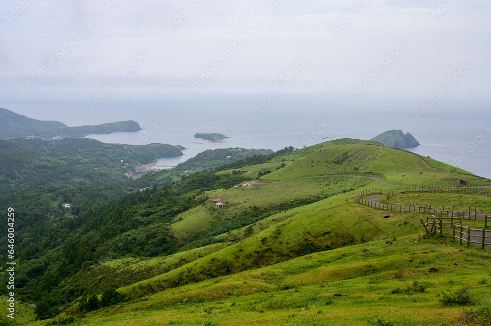 Fototapeta premium 島根県隠岐、赤はげ山からの眺め