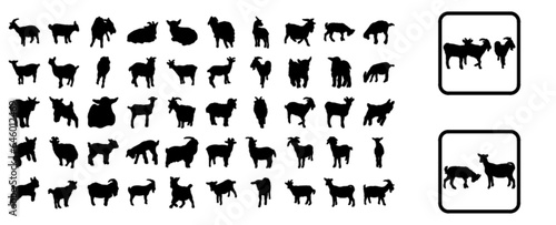 Goat (animal set)