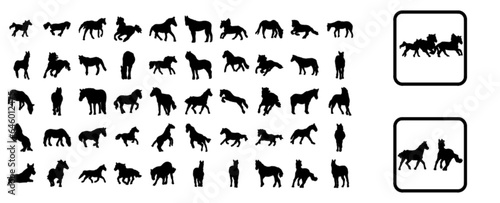 Horse (animal set)