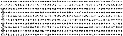 Animal set