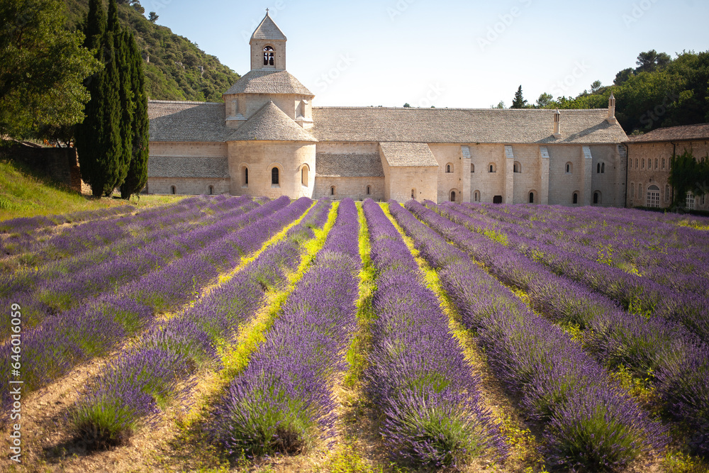Abbaye Notre-Dame de Sénanque. 12th-century Cistercian monastery with summer lavender fields - obrazy, fototapety, plakaty 