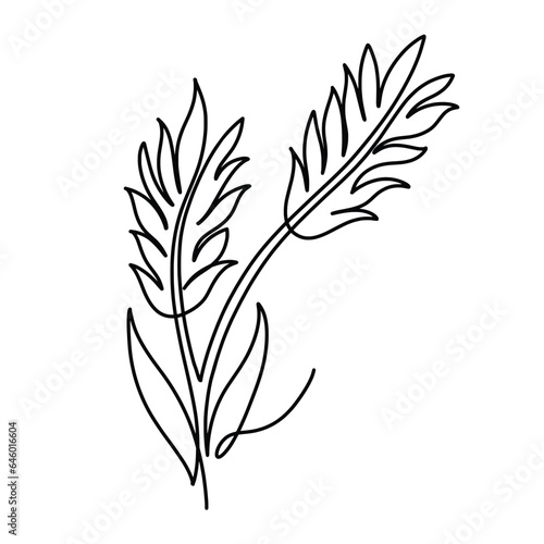 Vector continuous one line Paddy illustration