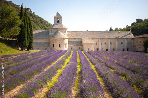 Abbaye Notre-Dame de Sénanque. 12th-century Cistercian monastery with summer lavender fields photo
