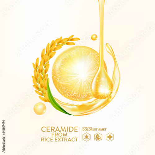 ceramide from rice extract serum Skin Care Cosmetic