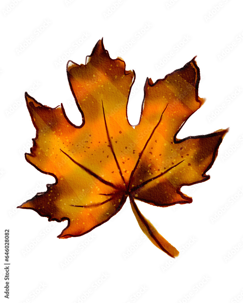 Fototapeta premium Autumn season
