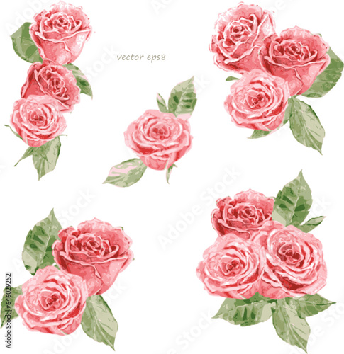 watercolor collection of bouquets of pink roses with leaves. vec