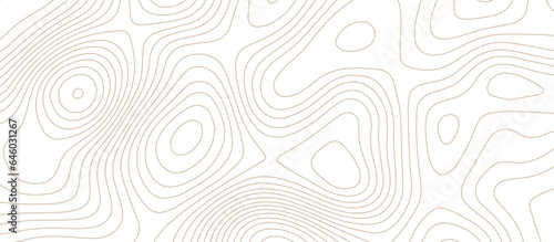 abstract White wave paper curved reliefs background .Panorama view gradient multicolor wave curve lines banner background design. Vector illustration. wave Line topography map contour background.