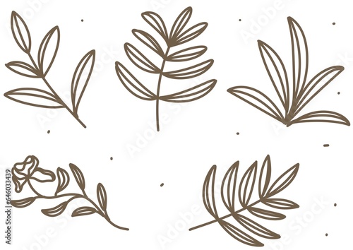 Botanical Hand Drawn Leaves Procreate.