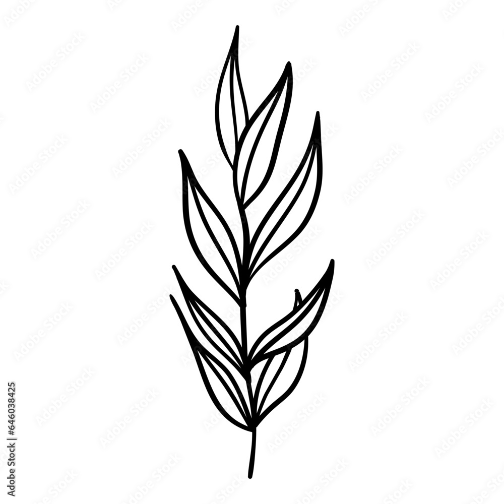 Outline Plant
