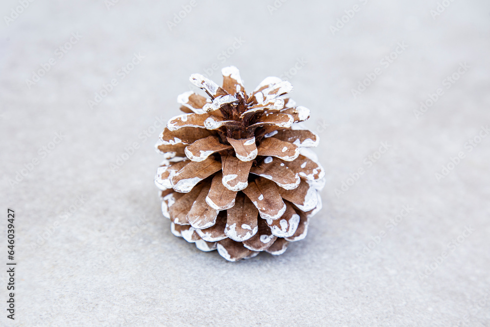 christmas decoration on a white background. Pine cone on white background, Christmas or New Year decoration concept, isolated close-up christmas decoration on a white background. Pine cone on white background, Christmas or New Year decoration concept, isolated close-up