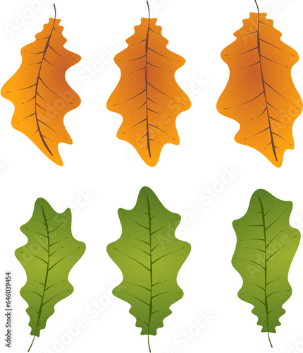 Autumn leafs foliage falling graphic illustrated colours orange green