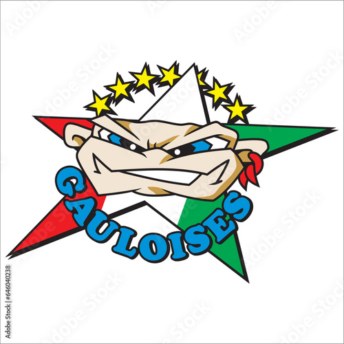 vector cartoon face that says (valentino rossi 46) on a background in the colors of the italian flag photo