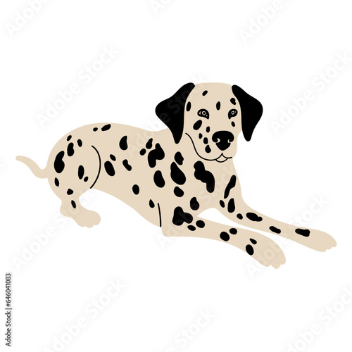 Dalmatian Dog Illustration