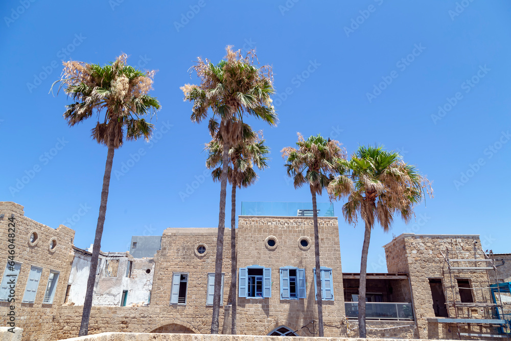 Arabic house with palms in the front in the city of Akko in the north of Israel