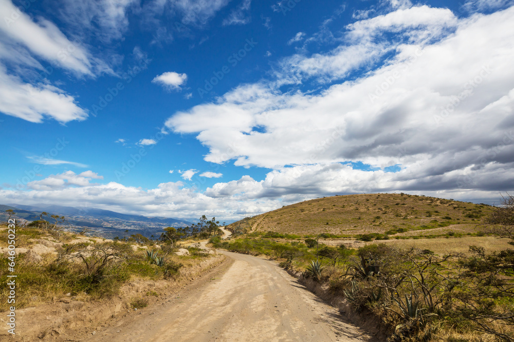 Fototapeta premium Rural road