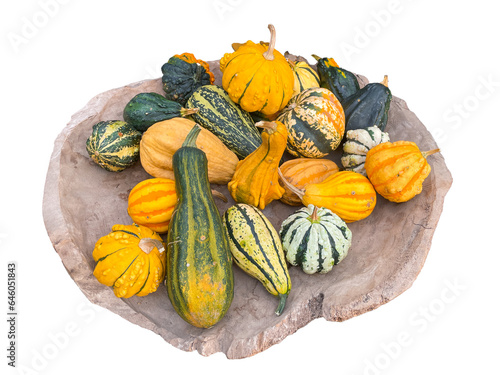 A collection of pumpkins and gourds on a clay plate, isolated, white background.