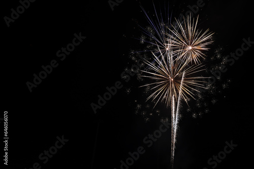 Fireworks on black sky 