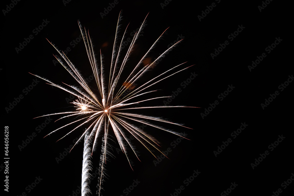 Fireworks on black sky
