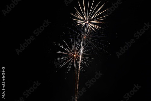 Fireworks on black sky  © ACpics