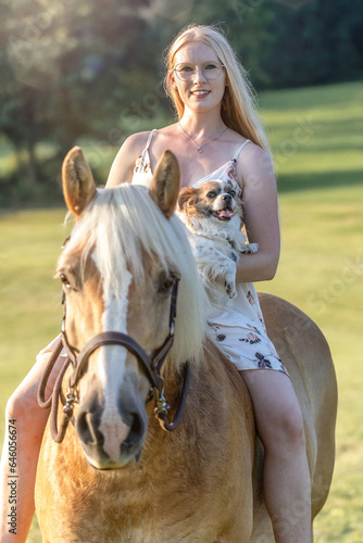 A young blonde woman enjoying time with her chihuahua dog and der haflinger horse in summer outdoors during sundown