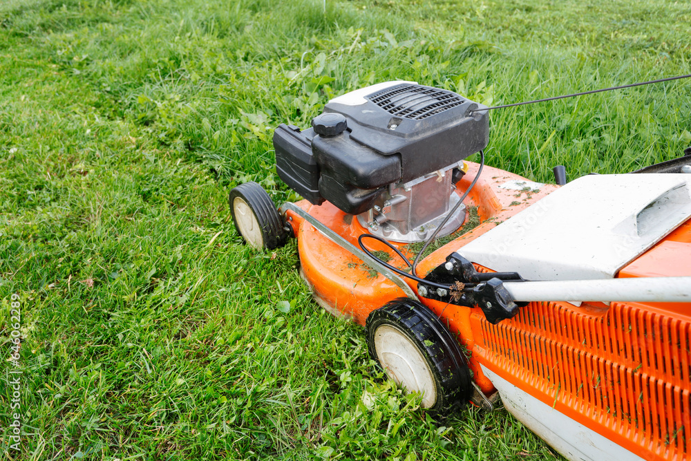 Mowing the lawn in the home garden with a lawn mower.