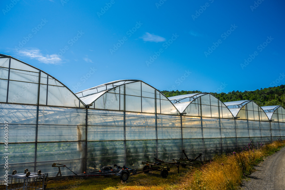 Exterior of a large greenhouse growing cucumbers.