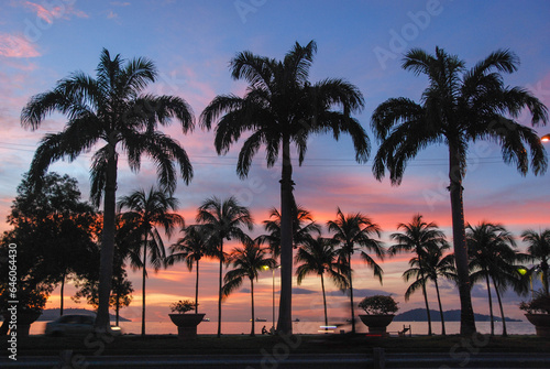 Sunset over a beach with palms in Kota Kinabalu  Sabah  Malaysia